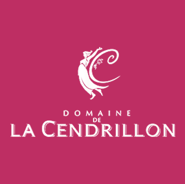 Velsya.wine agence de communication dédiée à l’univers du vin pour châteaux et domaines viticoles, cavistes et caves coopératives